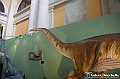 VBS_0937 - Dinosauri. Terra dei giganti
